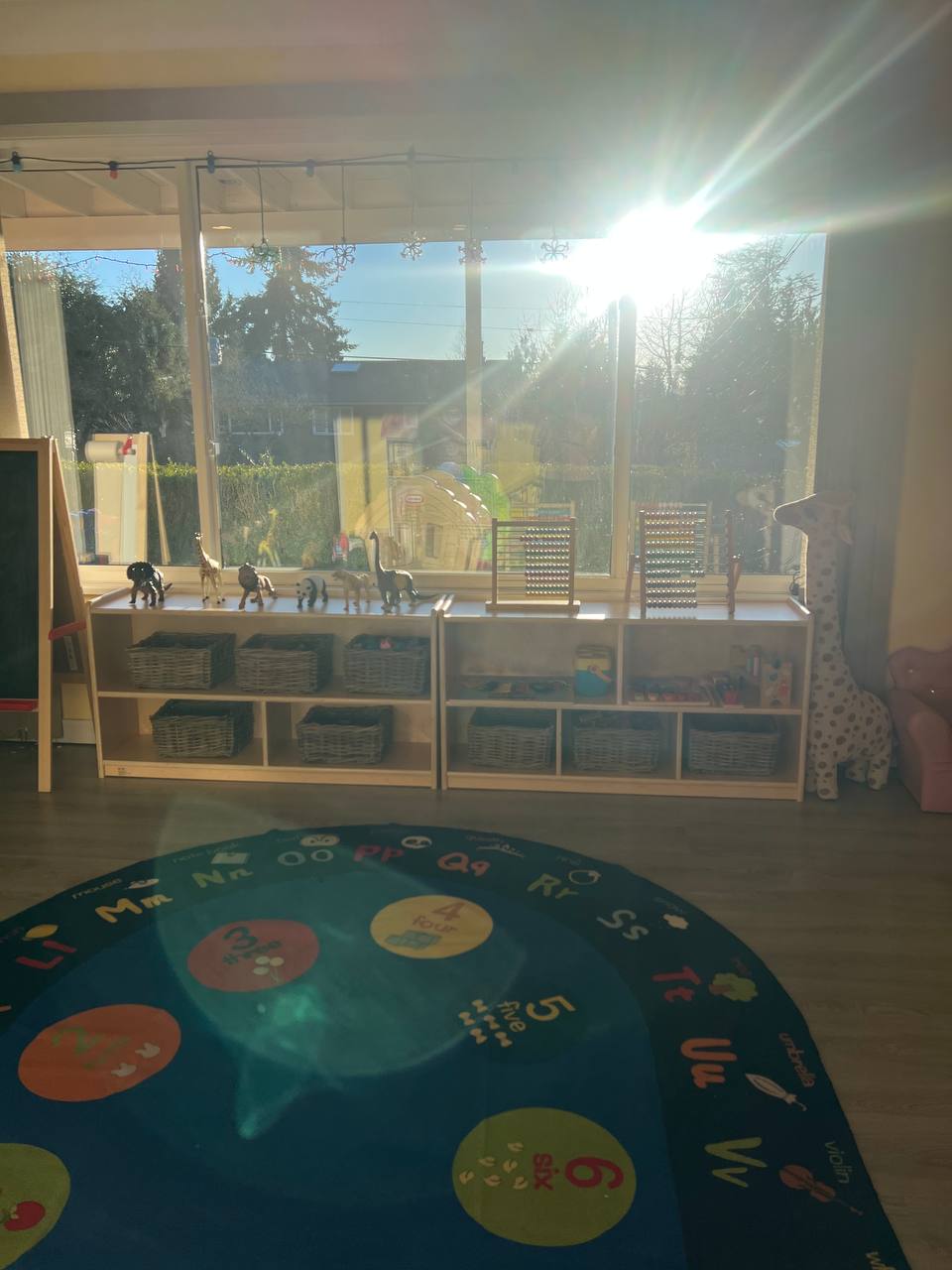 photo_2026-01-17_19-33-48