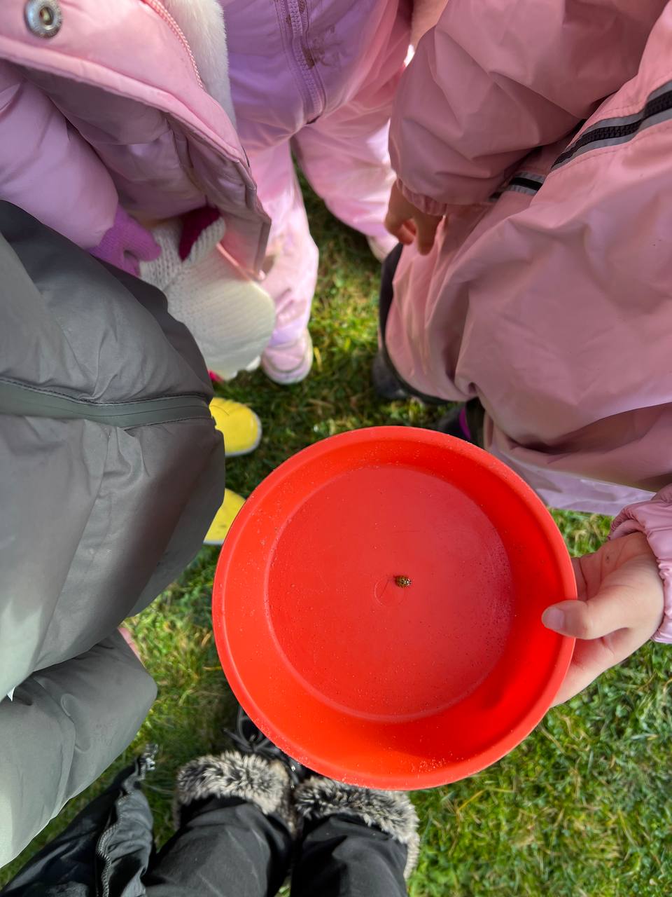 photo_2026-01-17_19-49-56